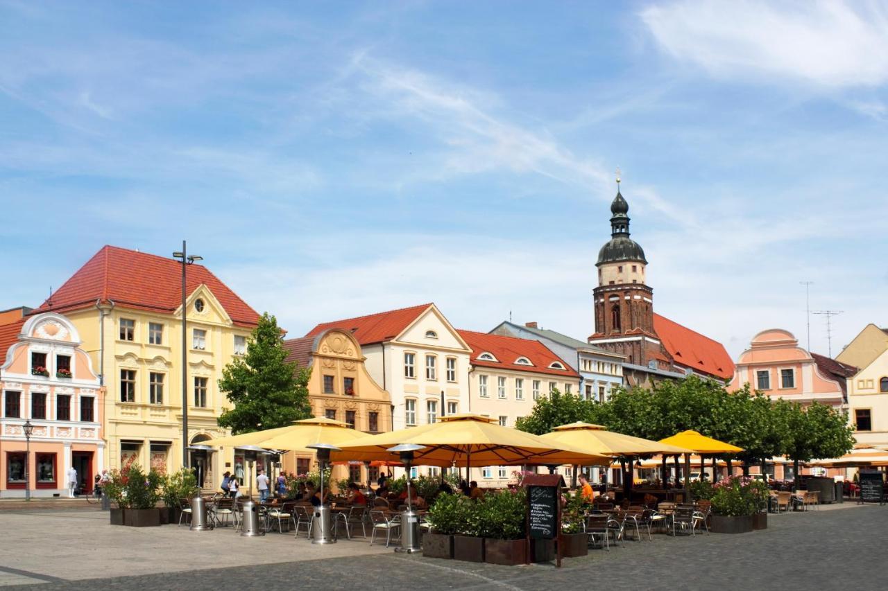 *central_50m2_kitchen_washer_netflix_parking Apartment Cottbus